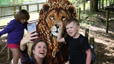 Great Brick Safari at Marwell Zoo