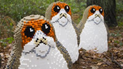 A Pack of Porgs