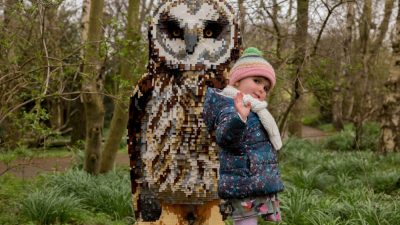 Animals Abound at Martin Mere